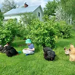 Kivirannan Tupa بيت للعطل يليفيسكا