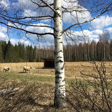 Vakantiehuis Kivirannan Tupa