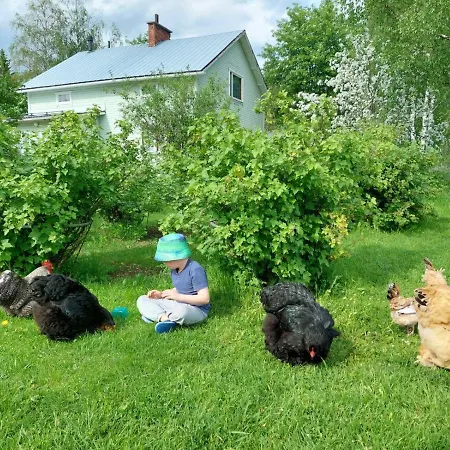 Kivirannan Tupa Vakantiehuis Ylivieska