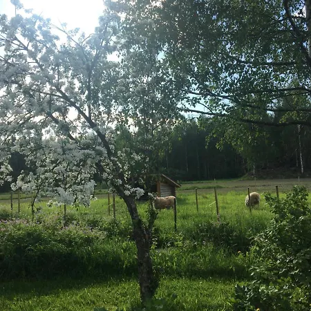 Kivirannan Tupa *