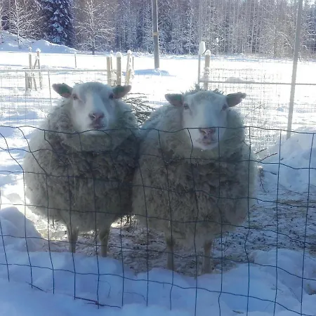 Kivirannan Tupa 度假居