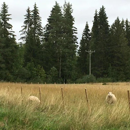Kivirannan Tupa * Ylivieska